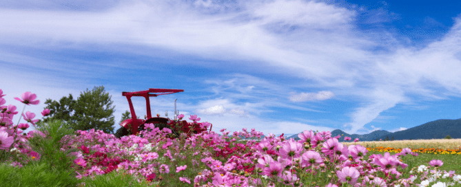 spring tractor maintenance